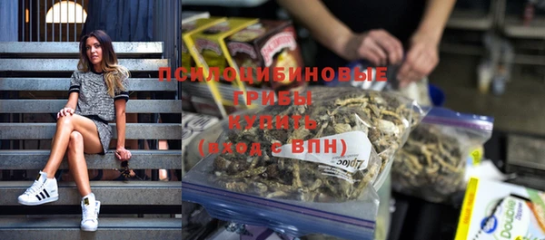 каннабис Алзамай