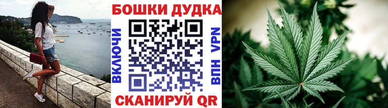 Бошки марихуана планчик  сколько стоит  Пролетарск 